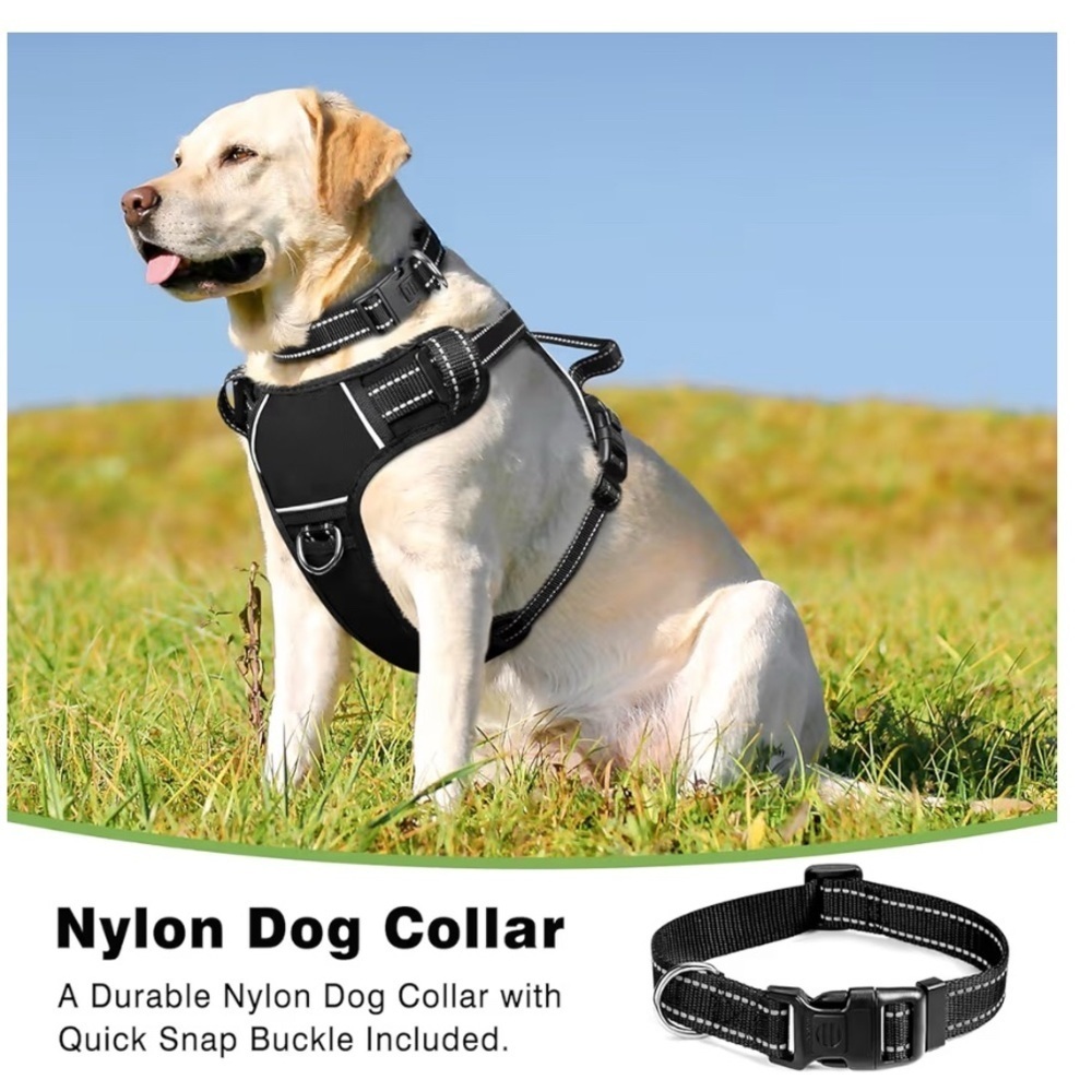 Black Dog Harness 050 - Picture 2 of 5